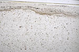 Plane Polarized, E51365/A