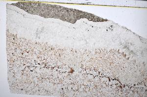 Plane Polarized, E51370/B