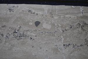 Cross Polarized, E51393