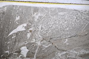 Plane Polarized, E51396