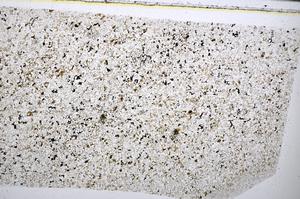 Plane Polarized, E51400