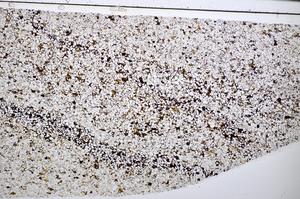 Plane Polarized, E51401