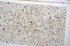 Plane Polarized, E51402