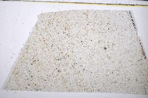 Plane Polarized, E51409