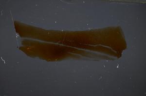 Cross Polarized, E51413