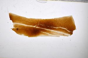 Plane Polarized, E51413