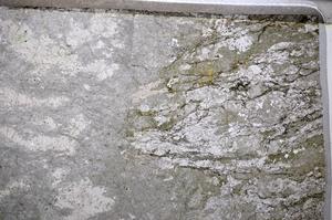 Plane Polarized, E51422