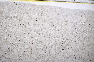 Plane Polarized, E51475/A