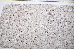 Plane Polarized, E51475/B