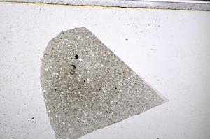 Plane Polarized, E51524/C