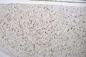 Plane Polarized, E51612/A