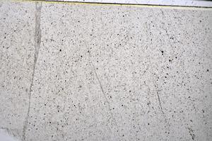 Plane Polarized, E51613
