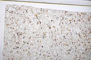 Plane Polarized, E51623/B