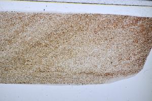 Plane Polarized, E51626/B