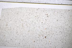 Plane Polarized, E51627/A