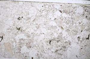 Plane Polarized, E51644/A