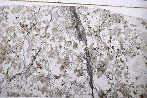 Plane Polarized, E51653/B