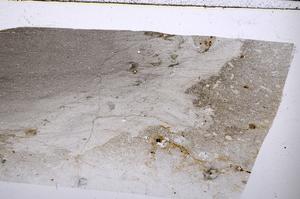Plane Polarized, E51667/A