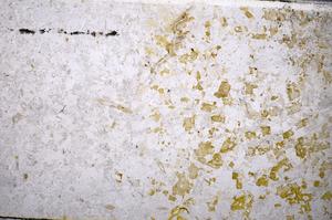 Plane Polarized, E52095