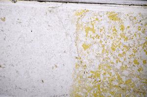 Plane Polarized, E52097