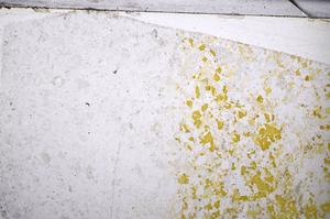 Plane Polarized, E52113