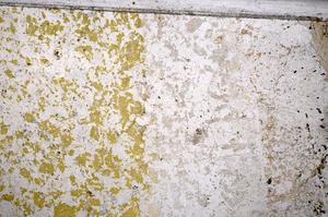 Plane Polarized, E52117