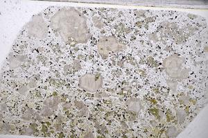 Plane Polarized, E52166/A