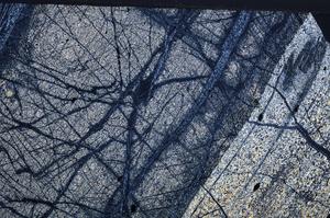 Cross Polarized, E52193