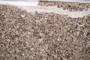 Plane Polarized, E52243