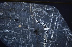 Cross Polarized, E52302