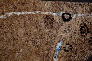 Cross Polarized, E52303