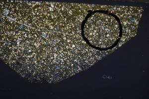 Cross Polarized, E52330