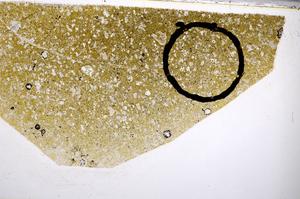 Plane Polarized, E52330