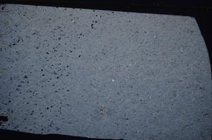 Cross Polarized, E52466