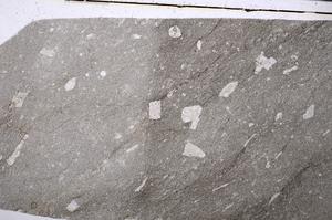 Plane Polarized, E52480