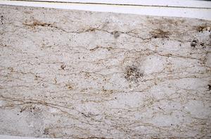 Plane Polarized, E52498