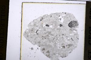 Plane Polarized, E52536