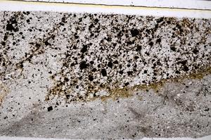 Plane Polarized, E52596