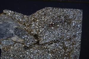 Cross Polarized, E52597