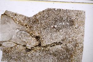 Plane Polarized, E52597