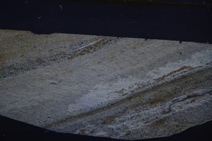 Cross Polarized, E52599