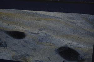 Cross Polarized, E52600