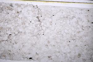 Plane Polarized, E52637