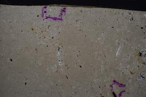 Cross Polarized, E52687