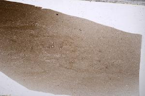 Plane Polarized, E52697