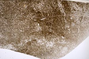 Plane Polarized, E52723