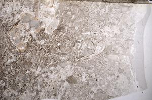 Plane Polarized, E52729