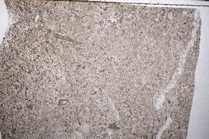 Plane Polarized, E52744