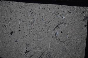 Cross Polarized, E52750