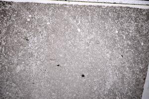 Plane Polarized, E52754